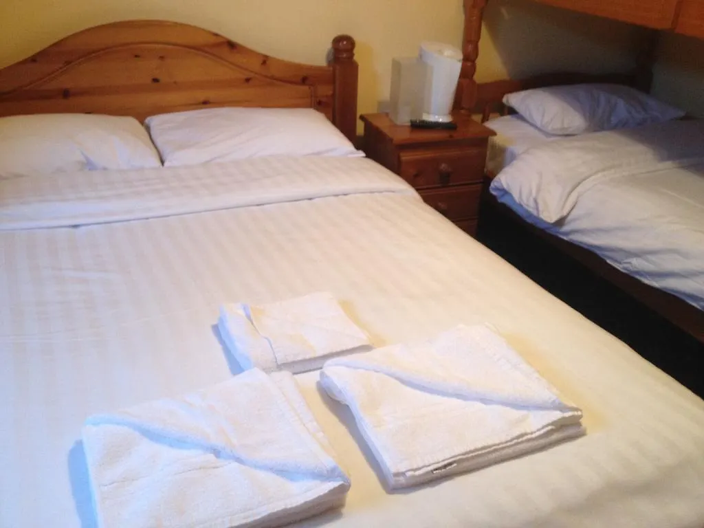 Twin Lions Hotel Εδιμβούργο 2*,